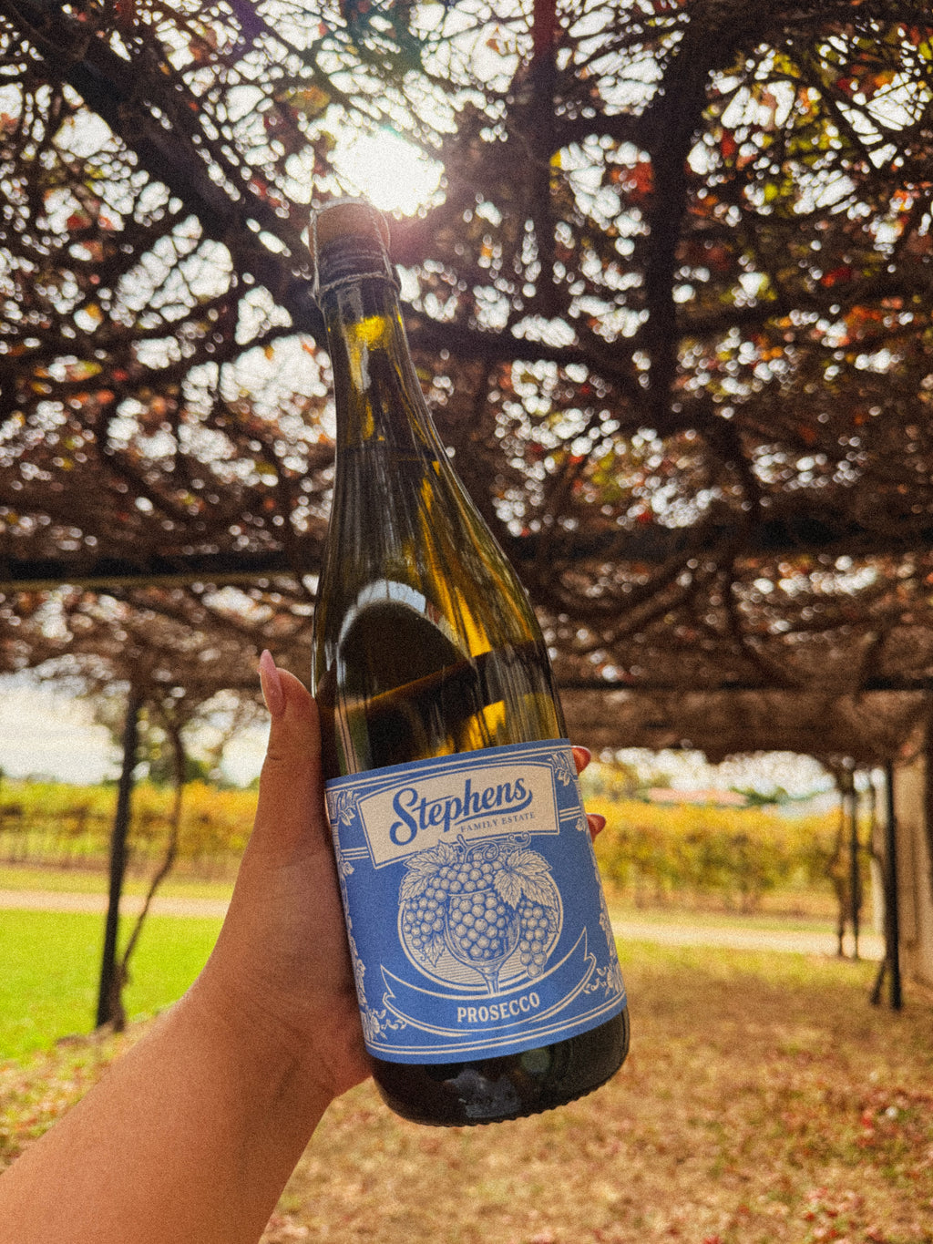 Stephens Family Estate - Prosecco