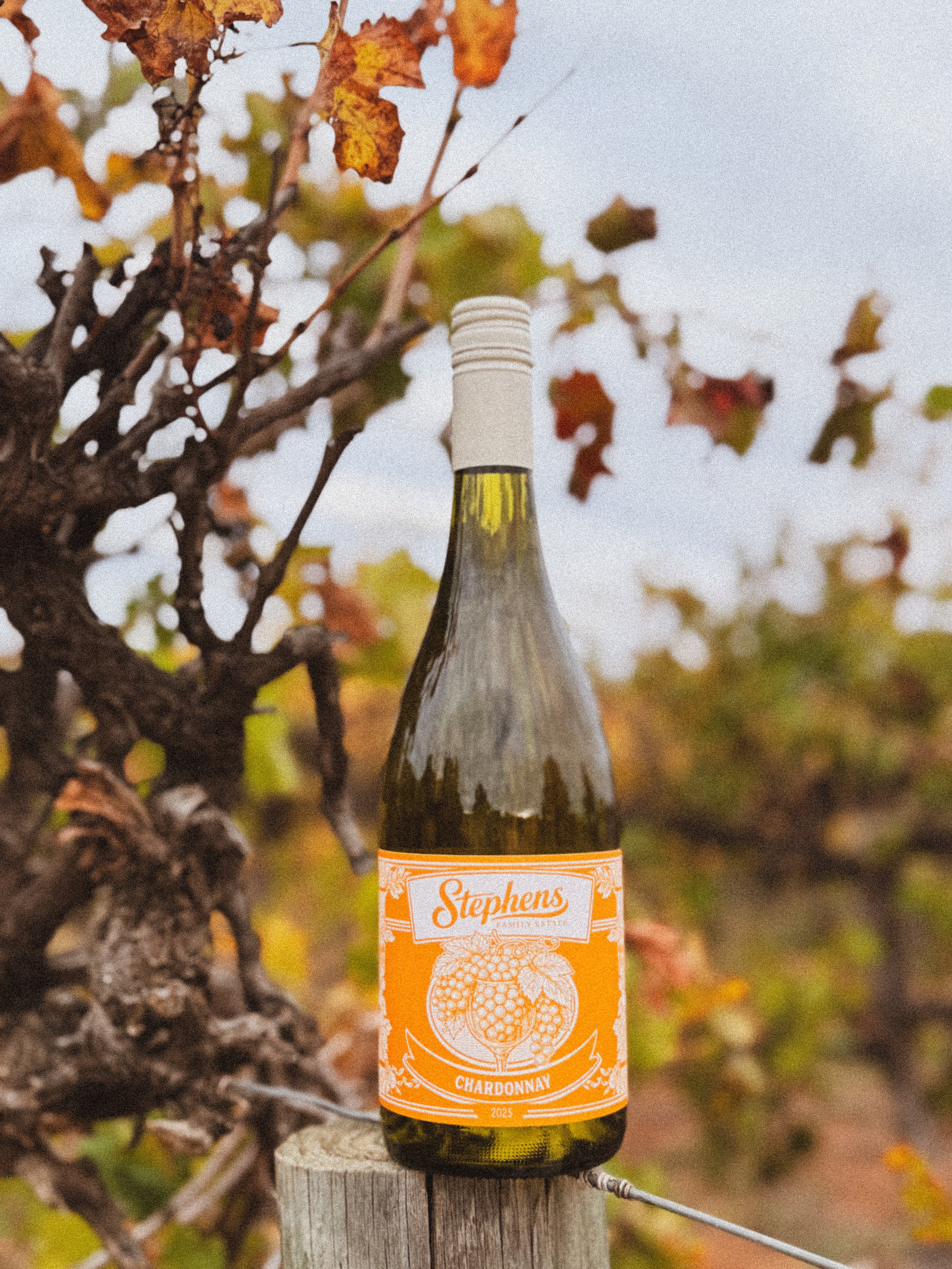 Stephens Family Estate - Chardonnay 2025